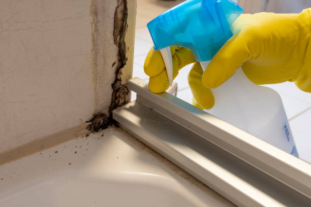 Best Mold Prevention Services  in Menasha, WI